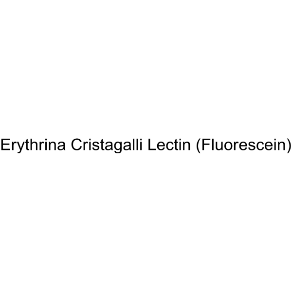 Erythrina Cristagalli Lectin (Fluorescein)